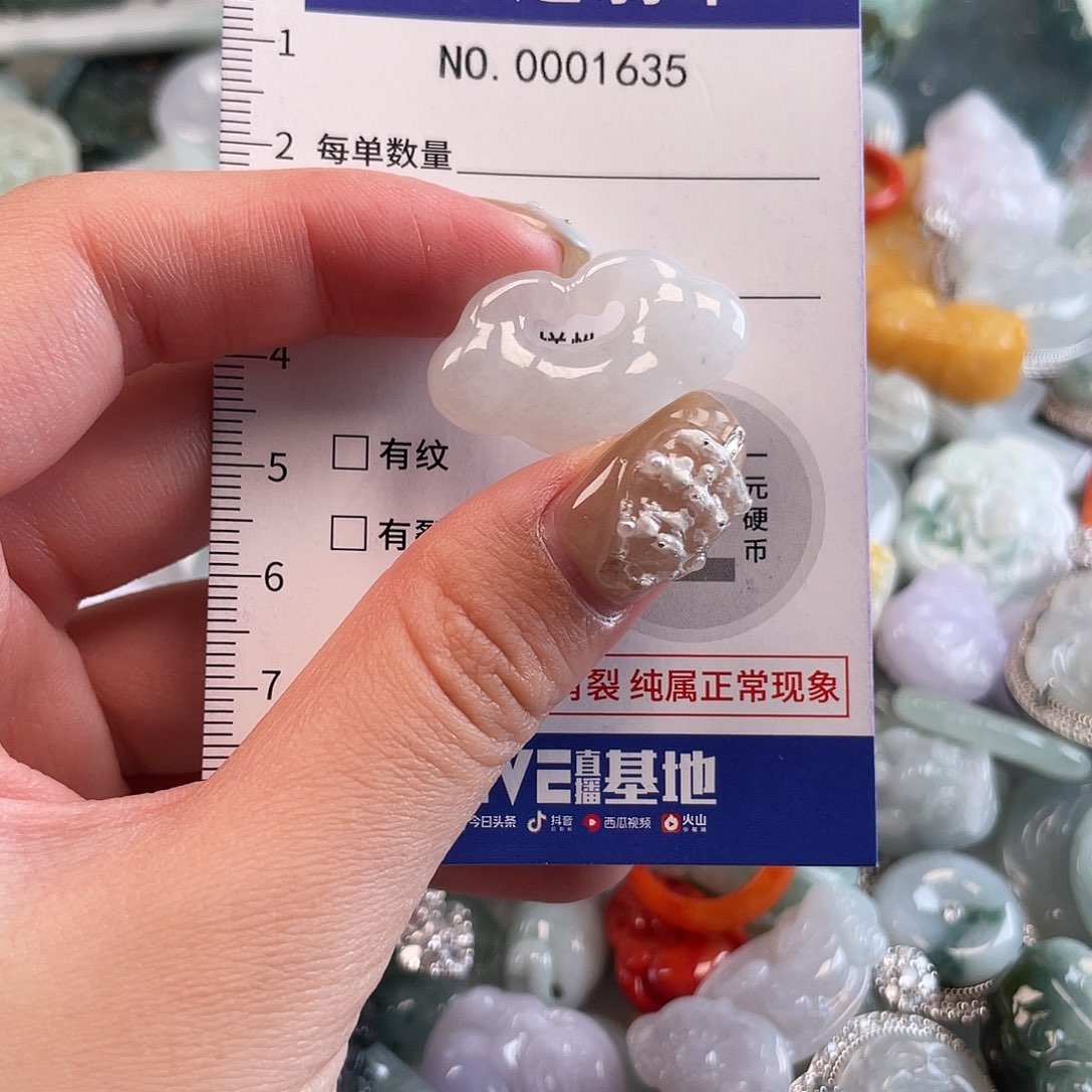 翡翠未镶嵌颈饰1635