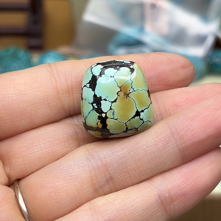 月***盐绿松石未镶嵌颈饰