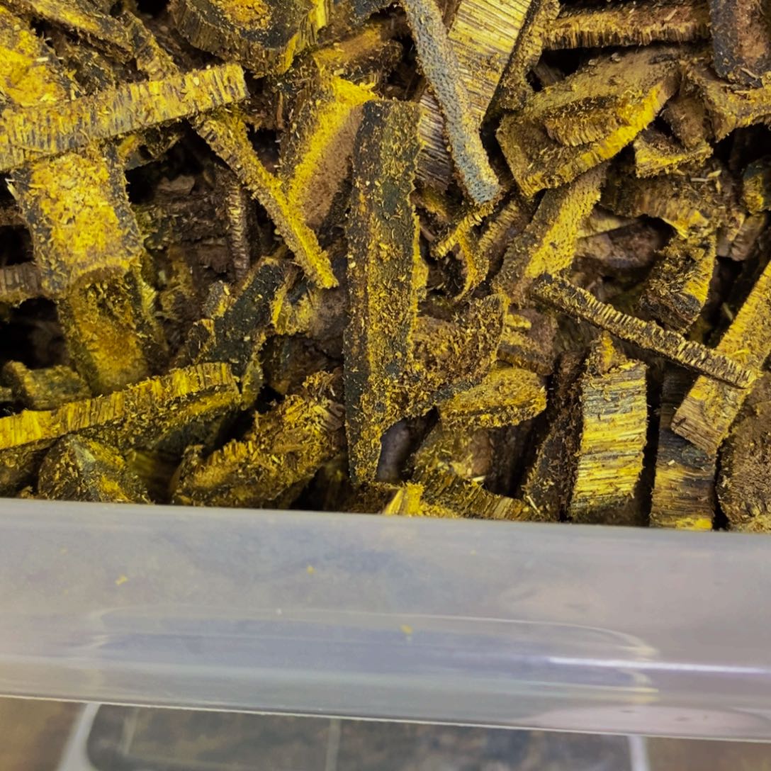 发***哥沉香沉香碎屑棋楠张勺子碎料2250克