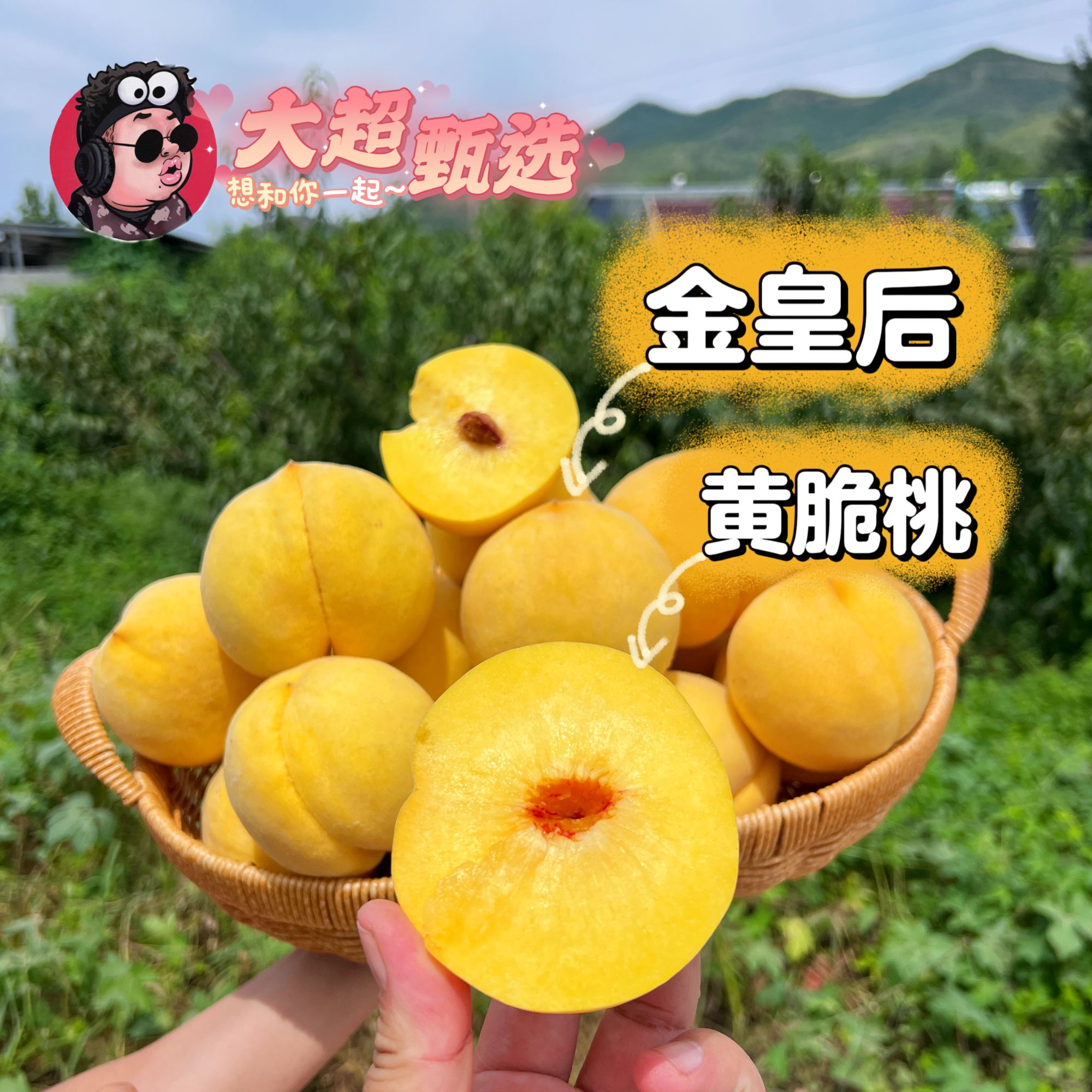 【段大超推荐】山东蒙阴金皇后黄桃4斤  新鲜水果现采现发