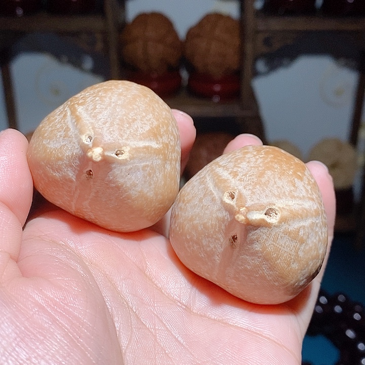 极**男野生巴西大橄榄核40