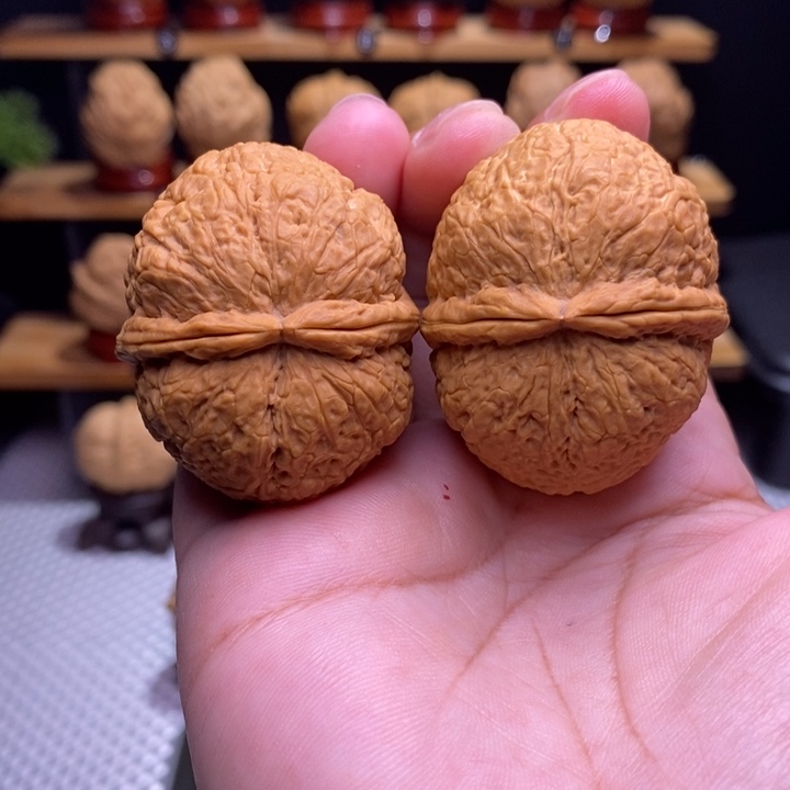 木质类云铁卧龙元宝1号