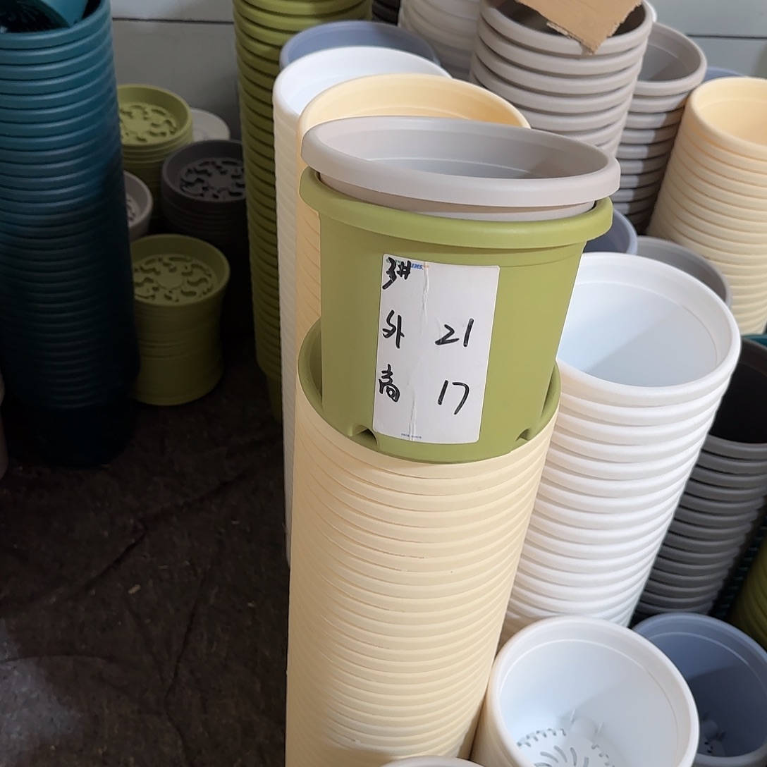 微瑕3号10个无托，果绿