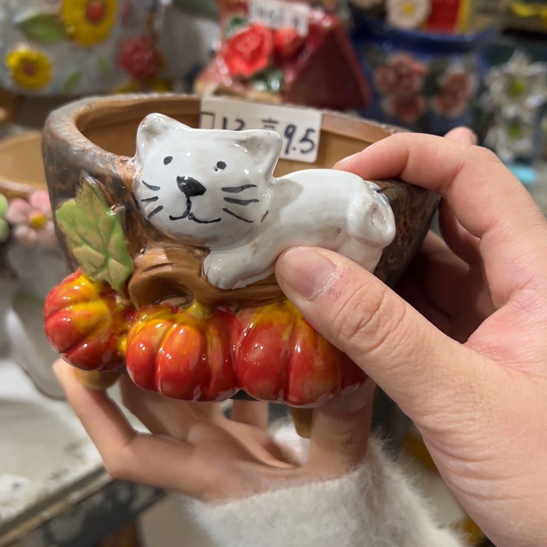 满20米秒退拉黑花盆