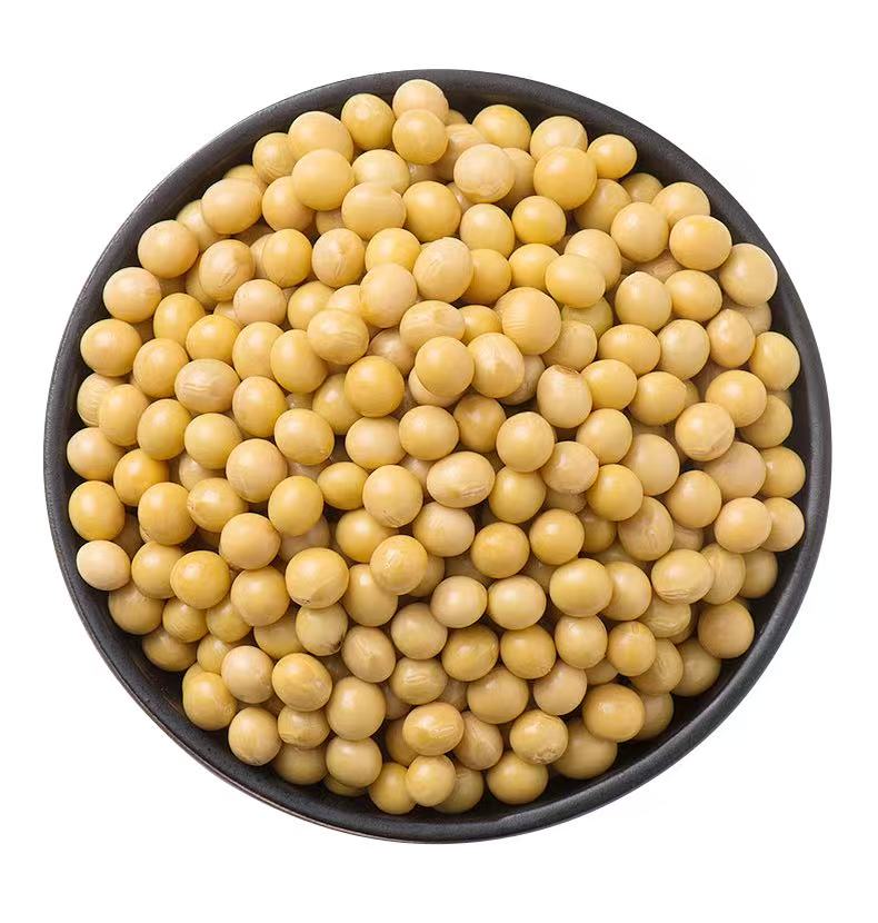 东北精选黄豆农家自己种的