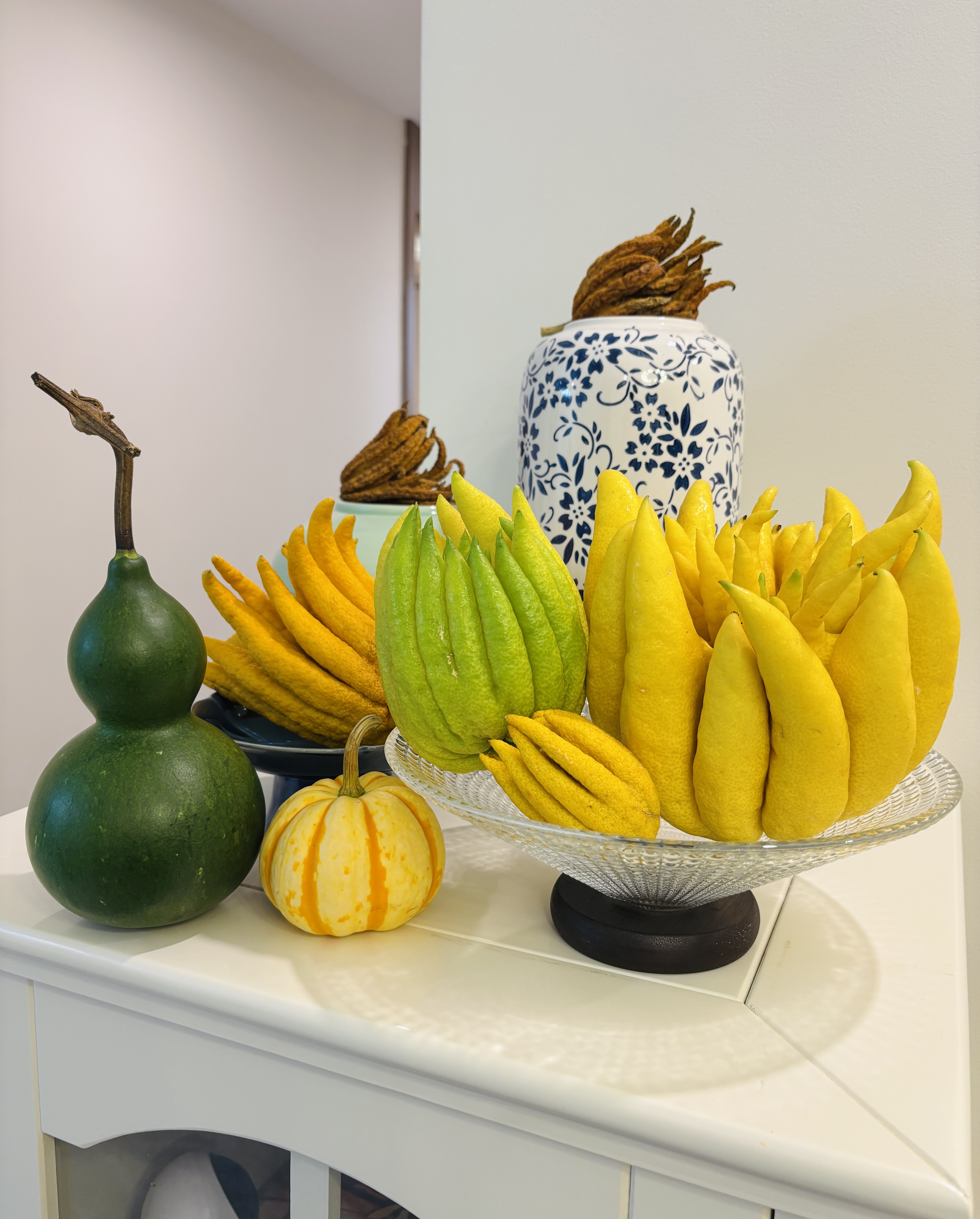 c重磅福利【大姐夫云南佛手】基地直采直发高端花材观赏闻香2