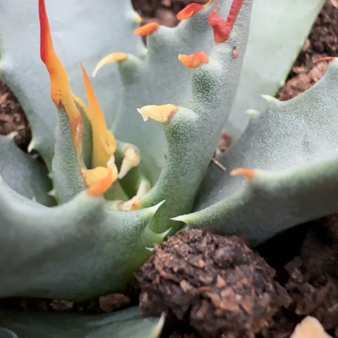 【闪购商品】35哈哈哈哈哈哈哈