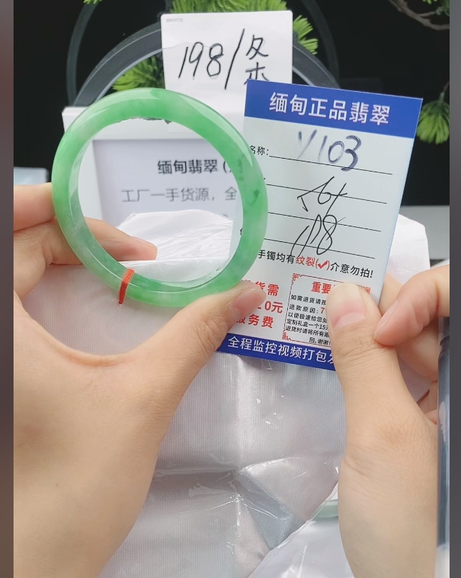 Y103缅甸翡翠手镯处理198/条【一物一证】实物以直播间为准
