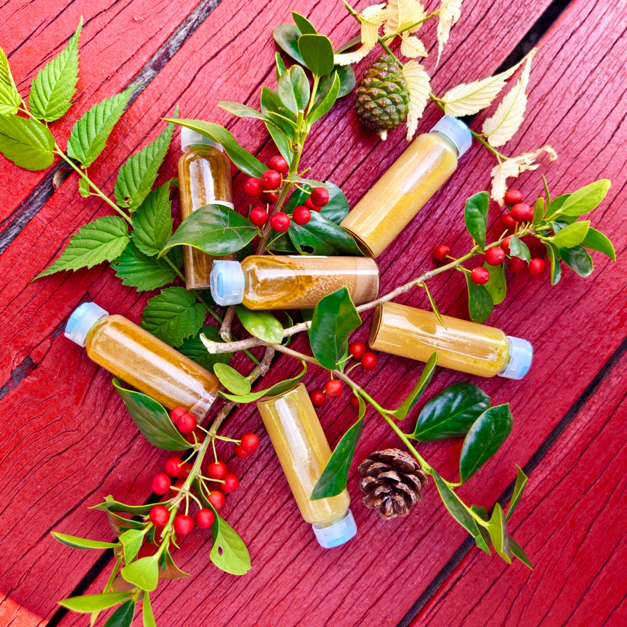 花草果壳种子手工研磨泡制草本植物精华护理 按说明书使用