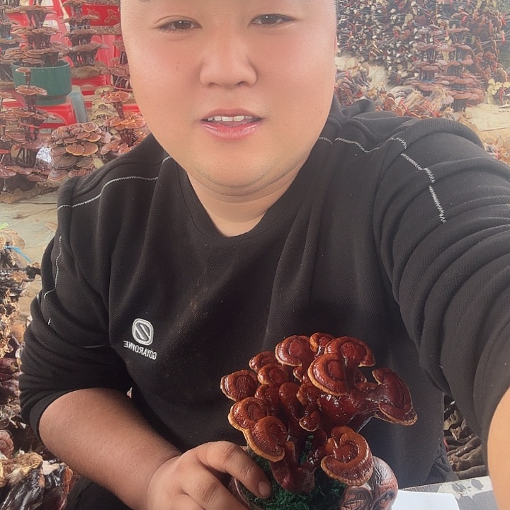 无花朵艺****布灵芝花开了