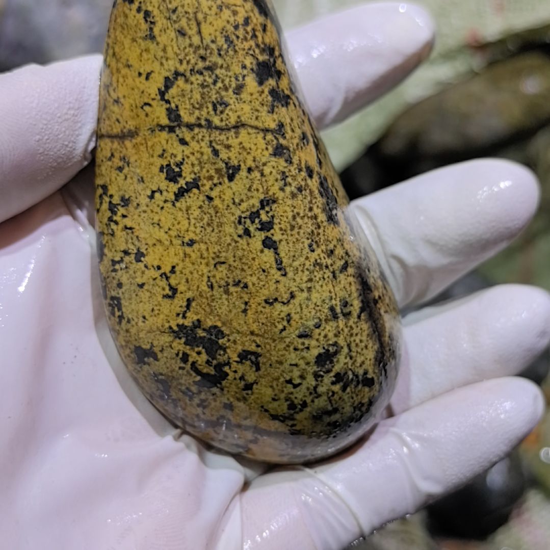 洁***）藏玉药王石原石一个