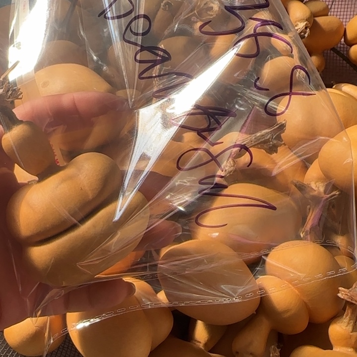 B***-葫芦手把件葫芦钱袋子