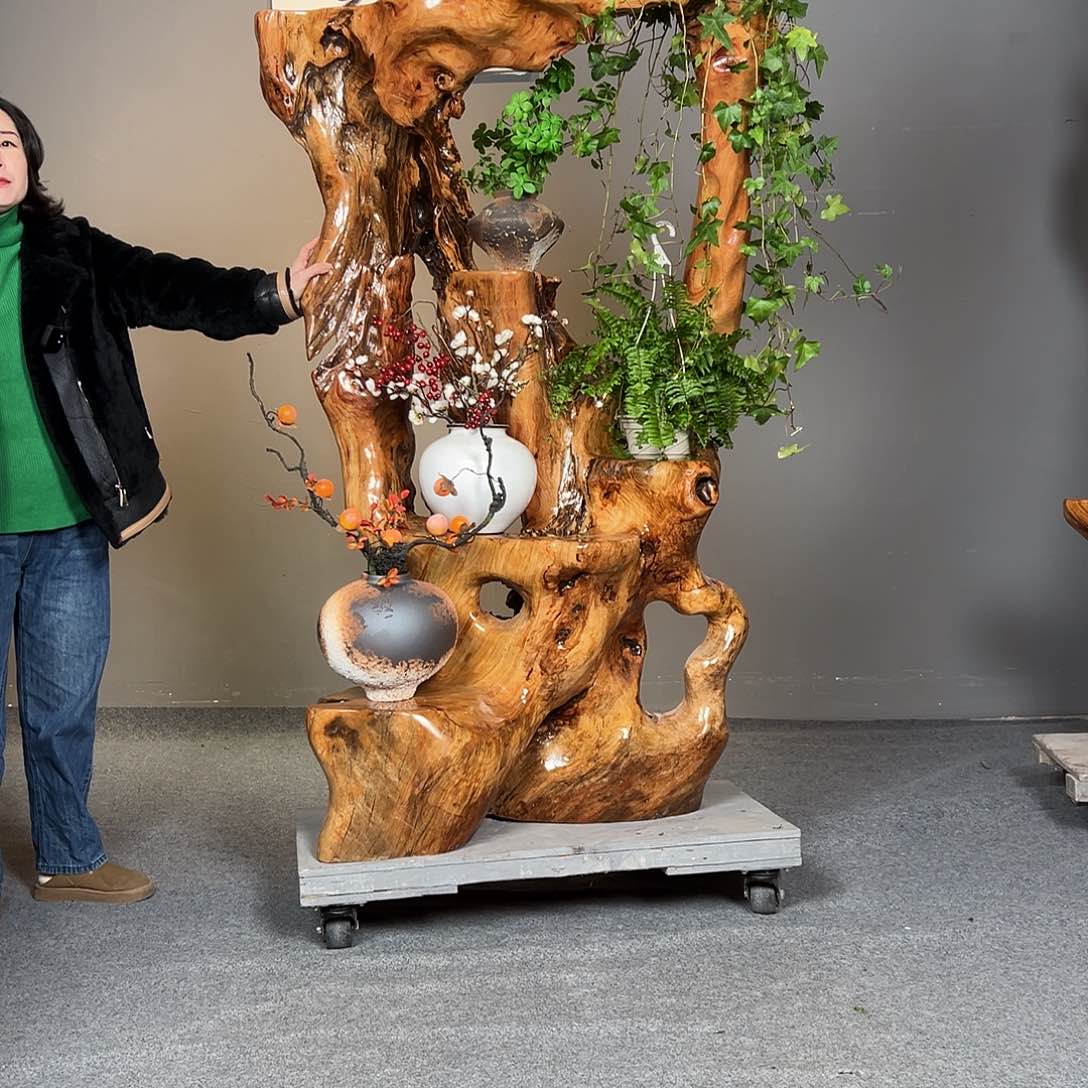 香樟木整体根位料花架