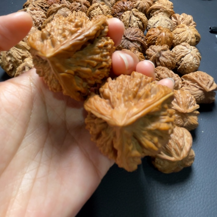 官帽三棱44尺寸核桃哈哈哈哈哈哈哈哈