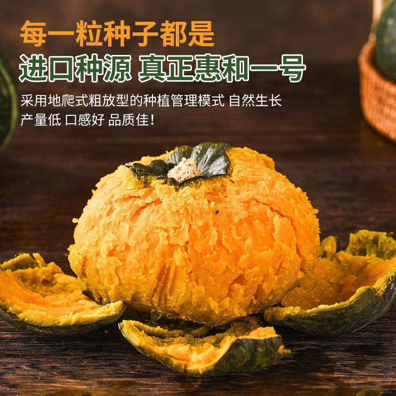    新摘爆粉露天蜜玉贝贝小南瓜宝宝辅食 板栗香惠和一号 8-15个