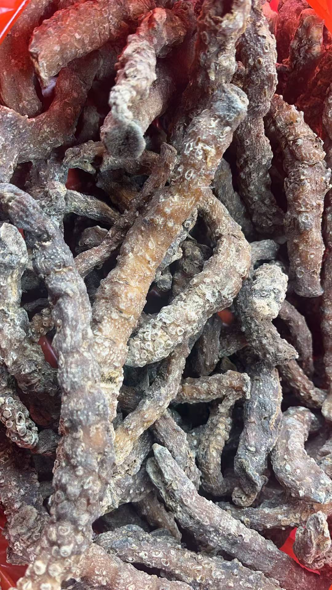 龙腾专属-金龙参