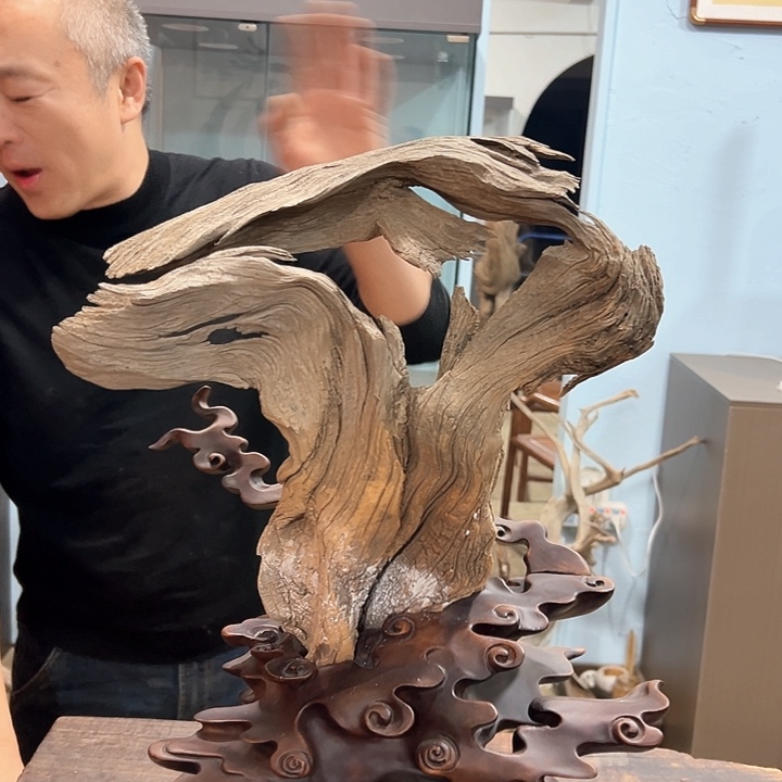 柏木-*鲤强烈推荐给大家