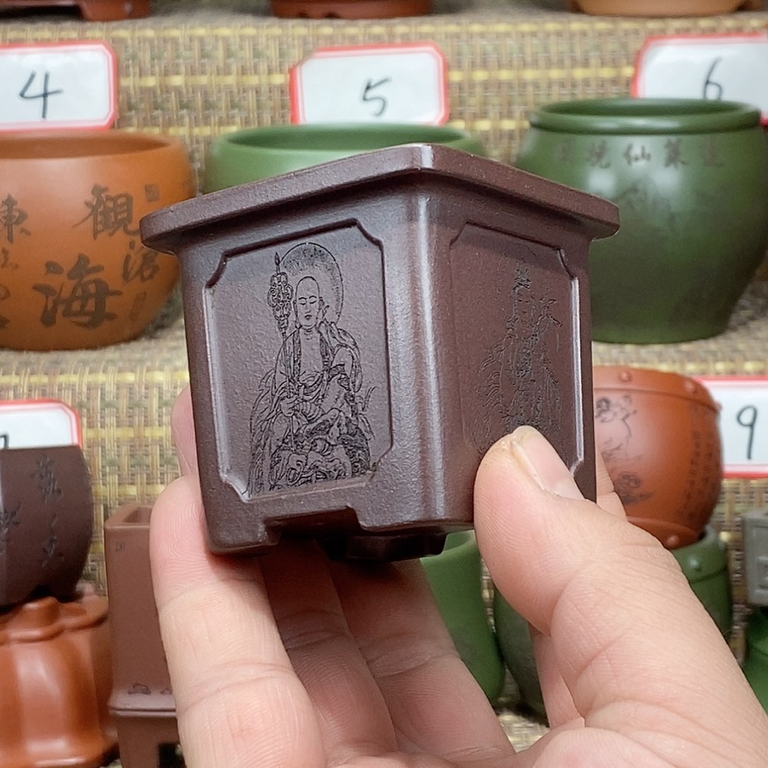 紫砂花盆在看了几