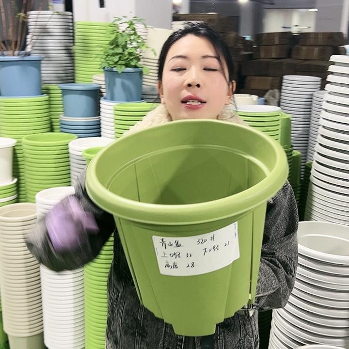 清仓青山口32高28果绿5支无托