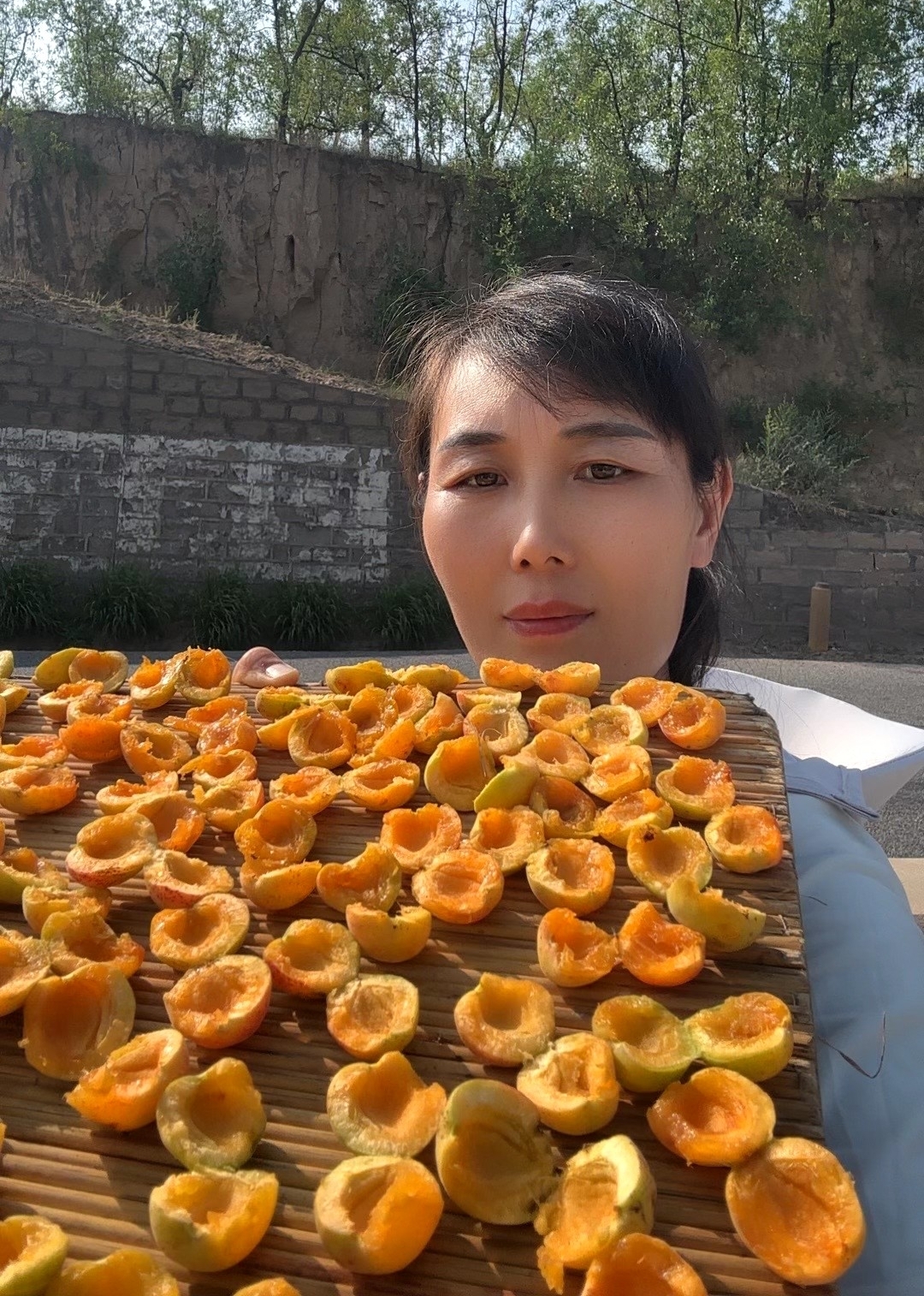 【杜家土妹】陕北杏干（酸甜）