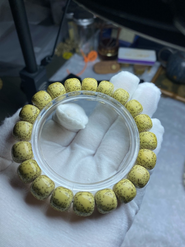 星月菩提原生态12✖️11月朗星稀毕业