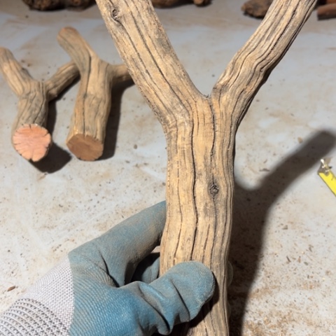 遇***应大果紫檀（缅甸花梨）