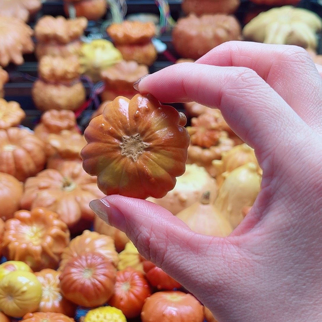 安***静大叶紫檀（黑酸枝木类）