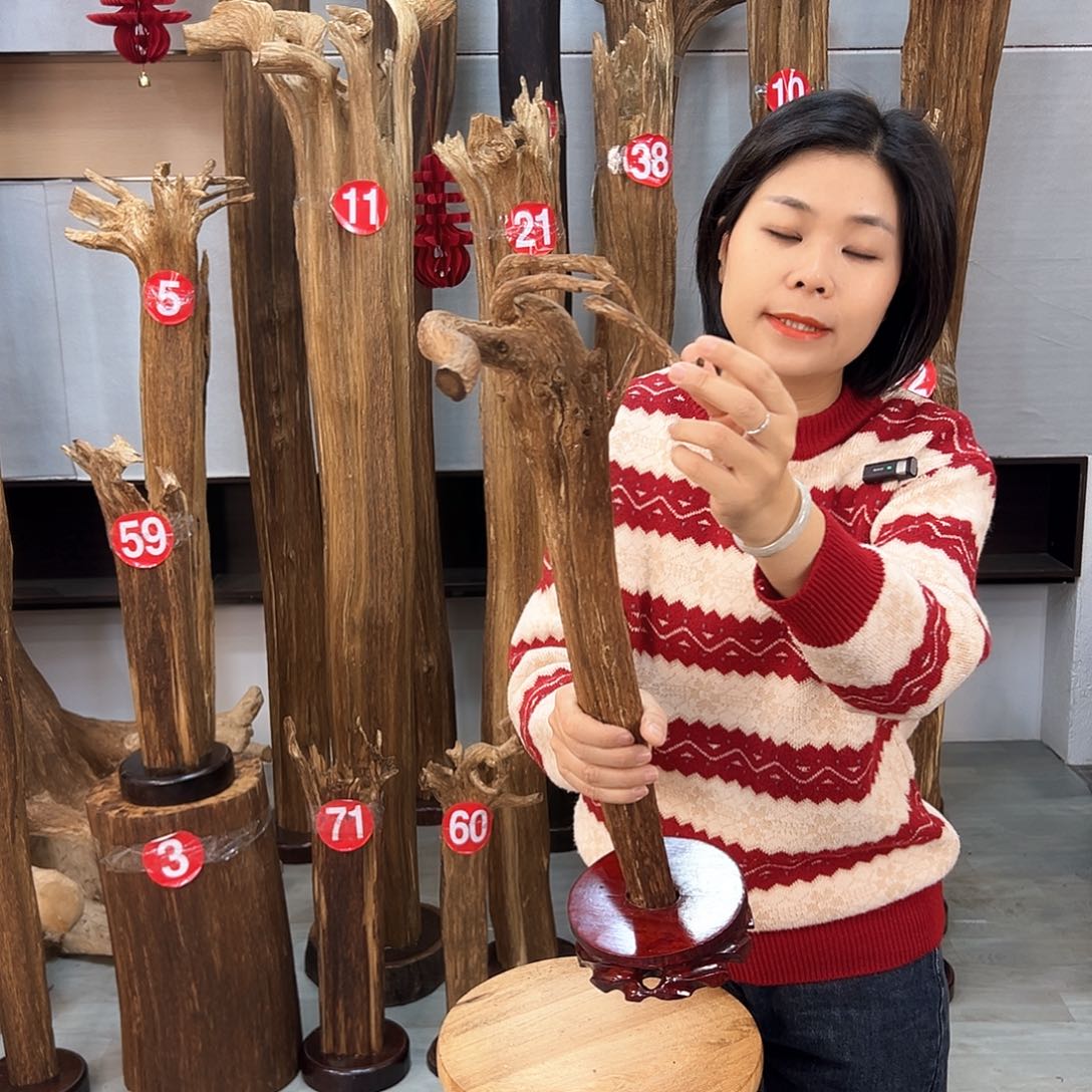 沉香摆件海南沉香摆件