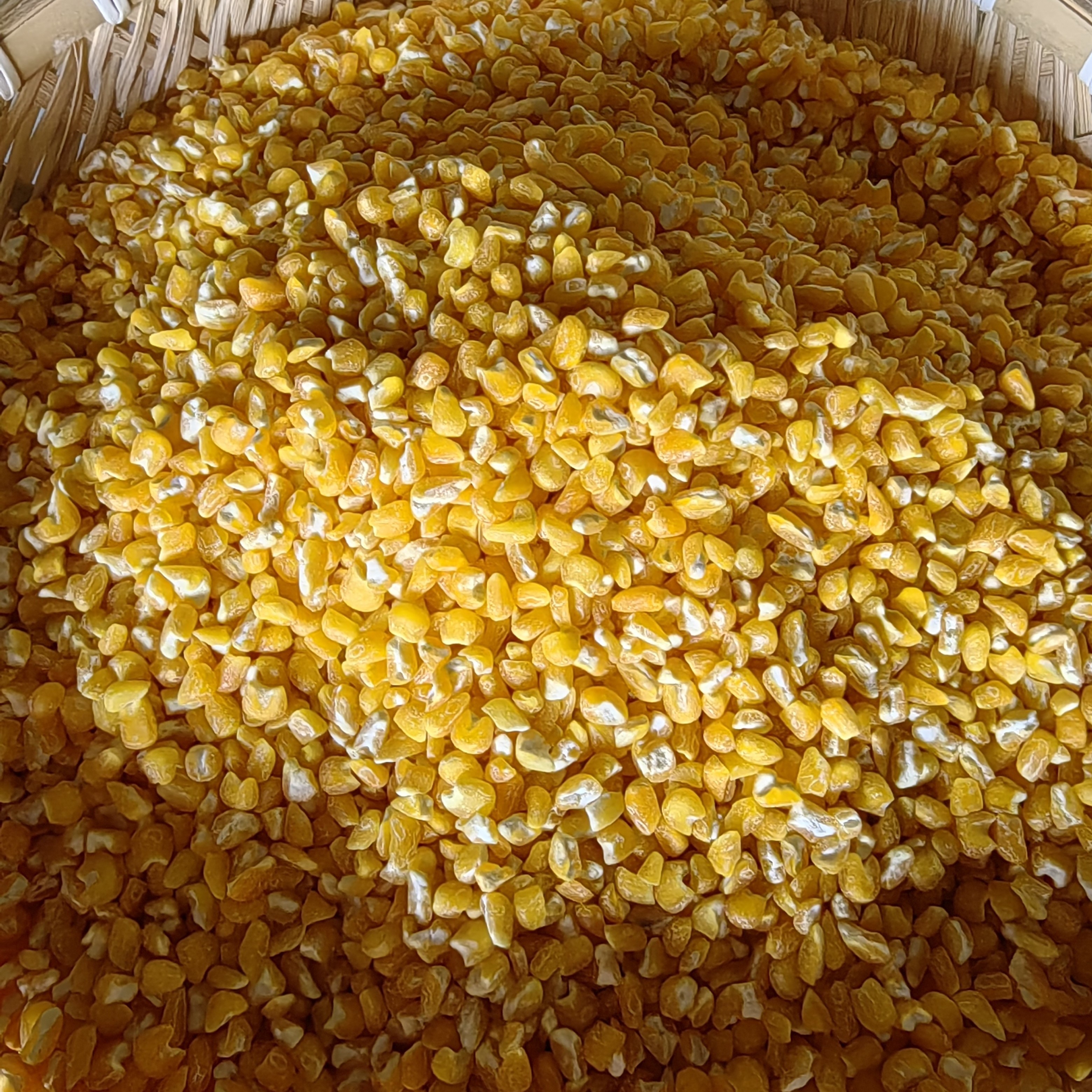 【慧姐专属】东北笨大碴子火碴子5斤1袋