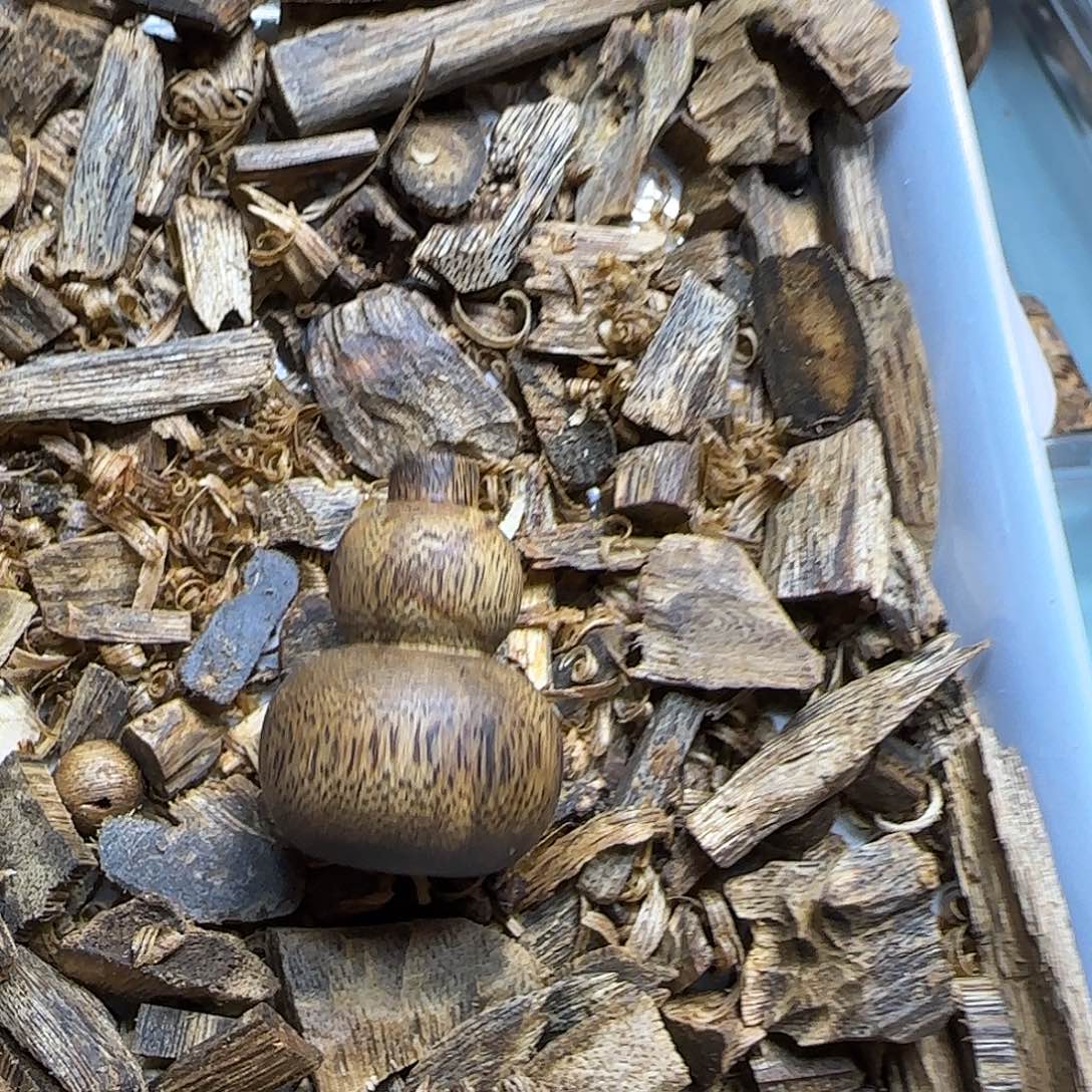 沉香沉香碎屑小葫芦4.4克