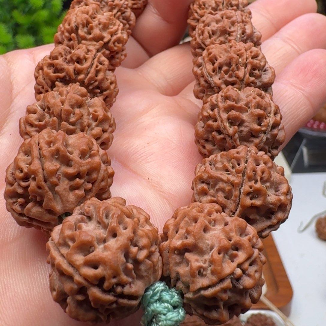 金刚菩提手串五星蜂王