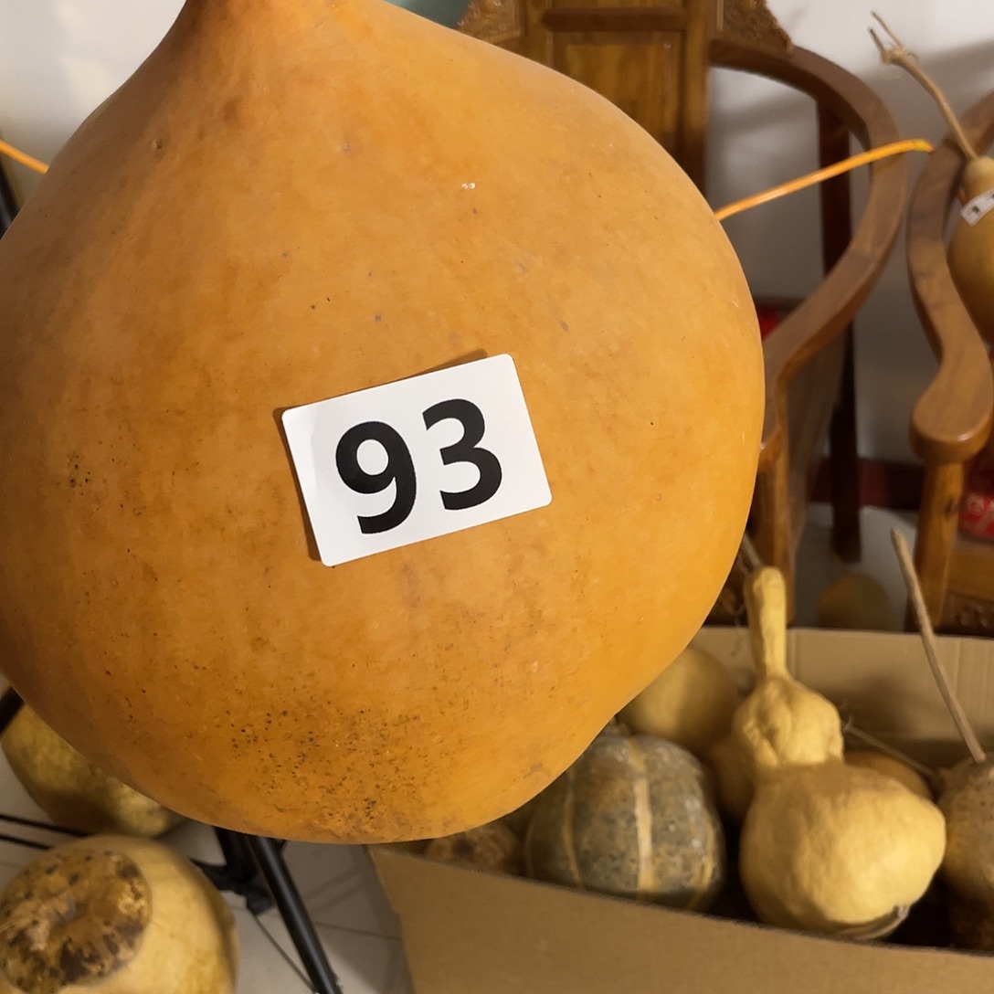 木48……——————6666666666666