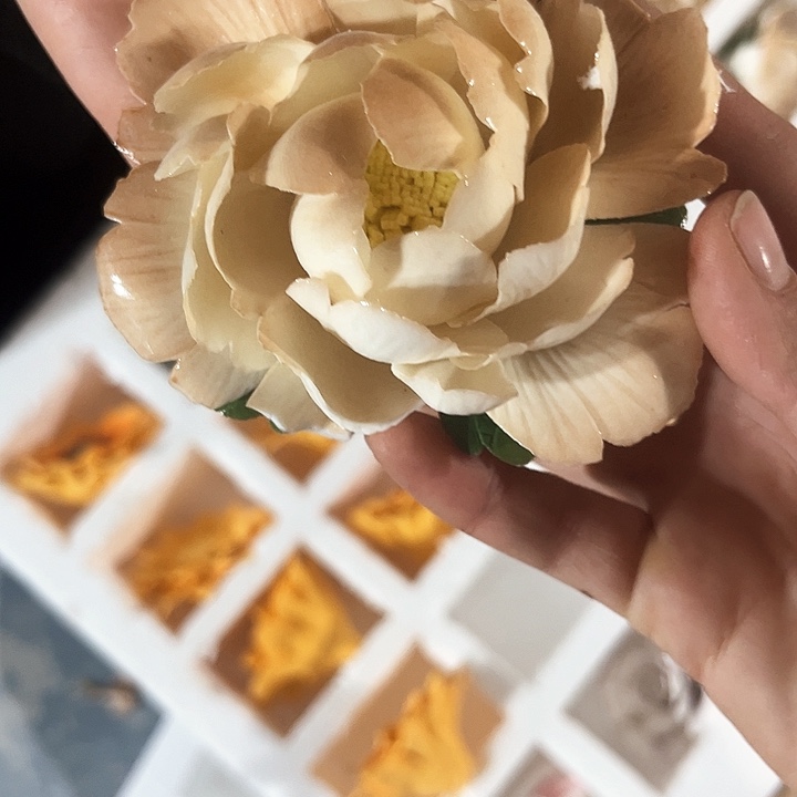 正品35.8一只，拍了备注颜色，