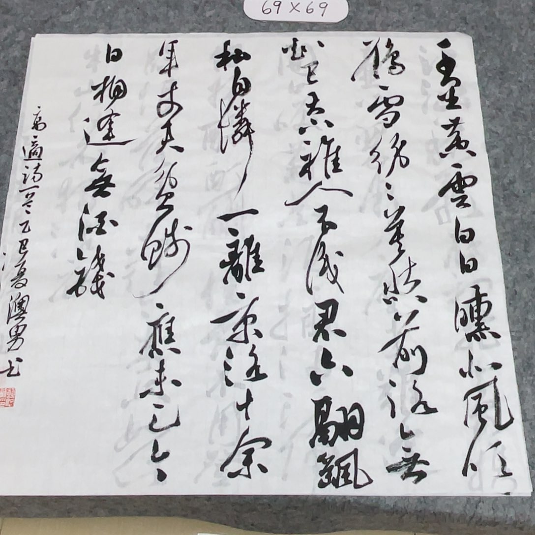 书法国展书家谢奥男69×69