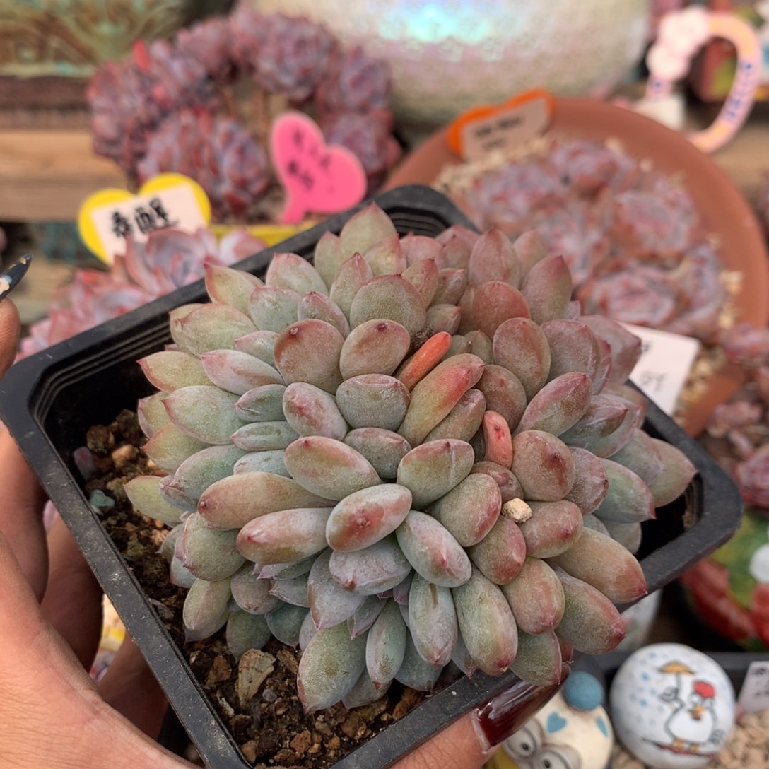 哈哈哈哈哈哈哈哈6