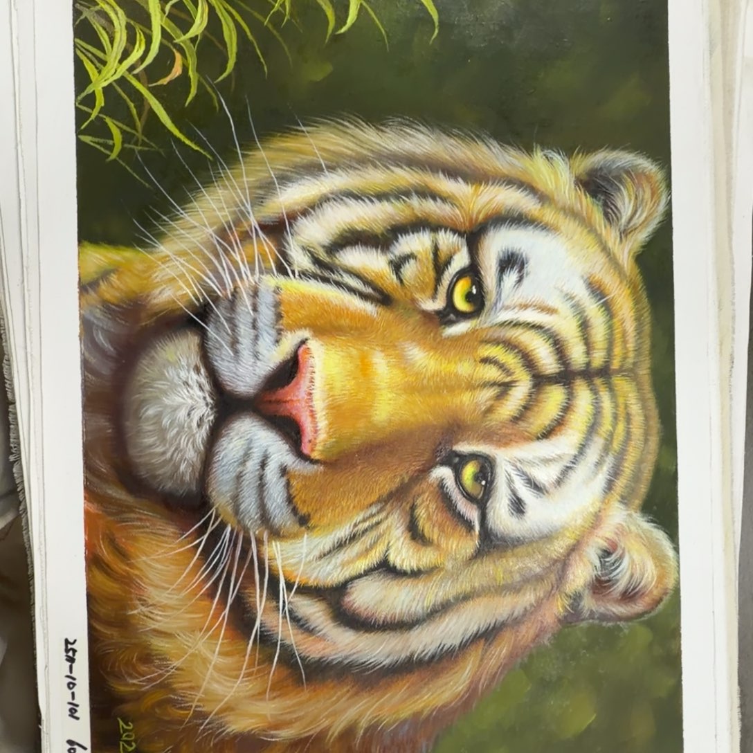 油画加油加油努力加油努力