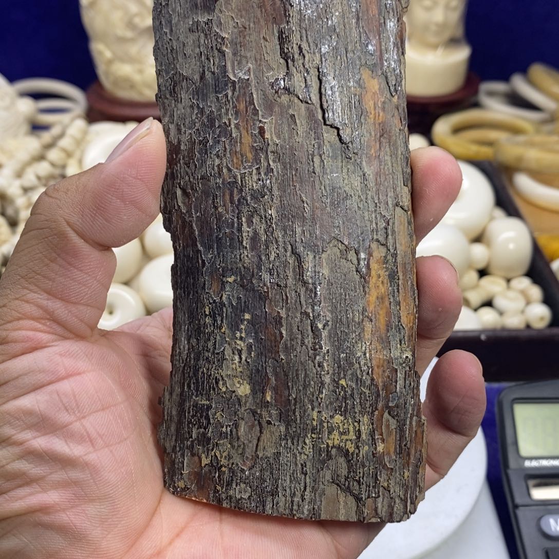 手串/手链贝壳?*风猛犸牙