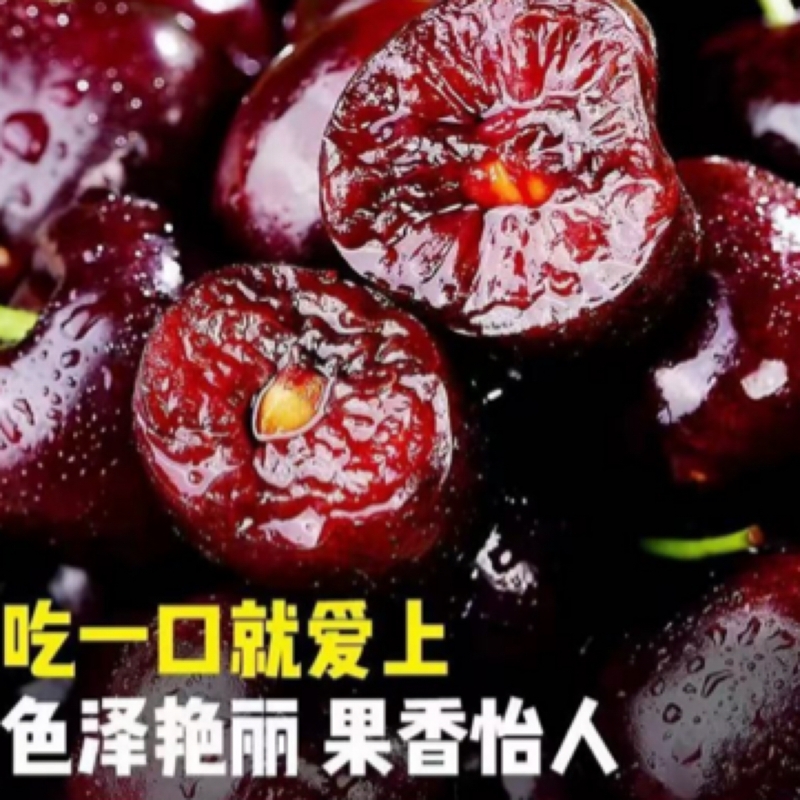 山东露天头茬 整箱五斤 顺丰/京东冷链包邮 应季水果 柿柿