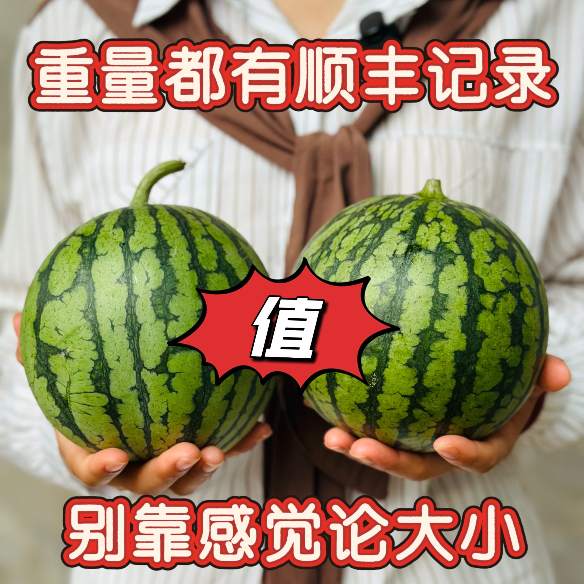 牛奶西瓜 脆香甜 顺丰包邮 头茬现摘现发农家自种 西瓜新鲜北京市西瓜同城送北京市