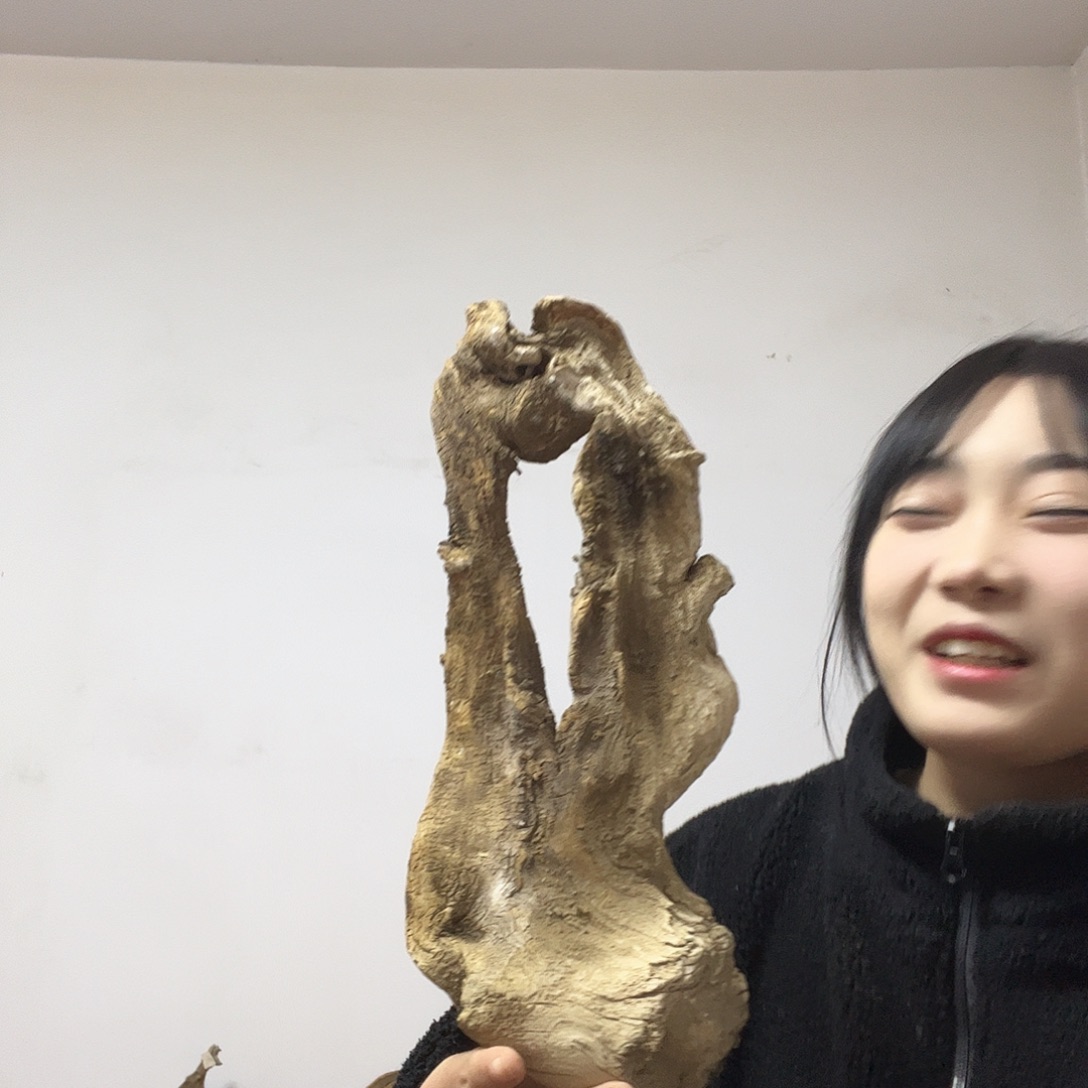 黔***游柏木（崖柏）这个世界上最好的朋友就是