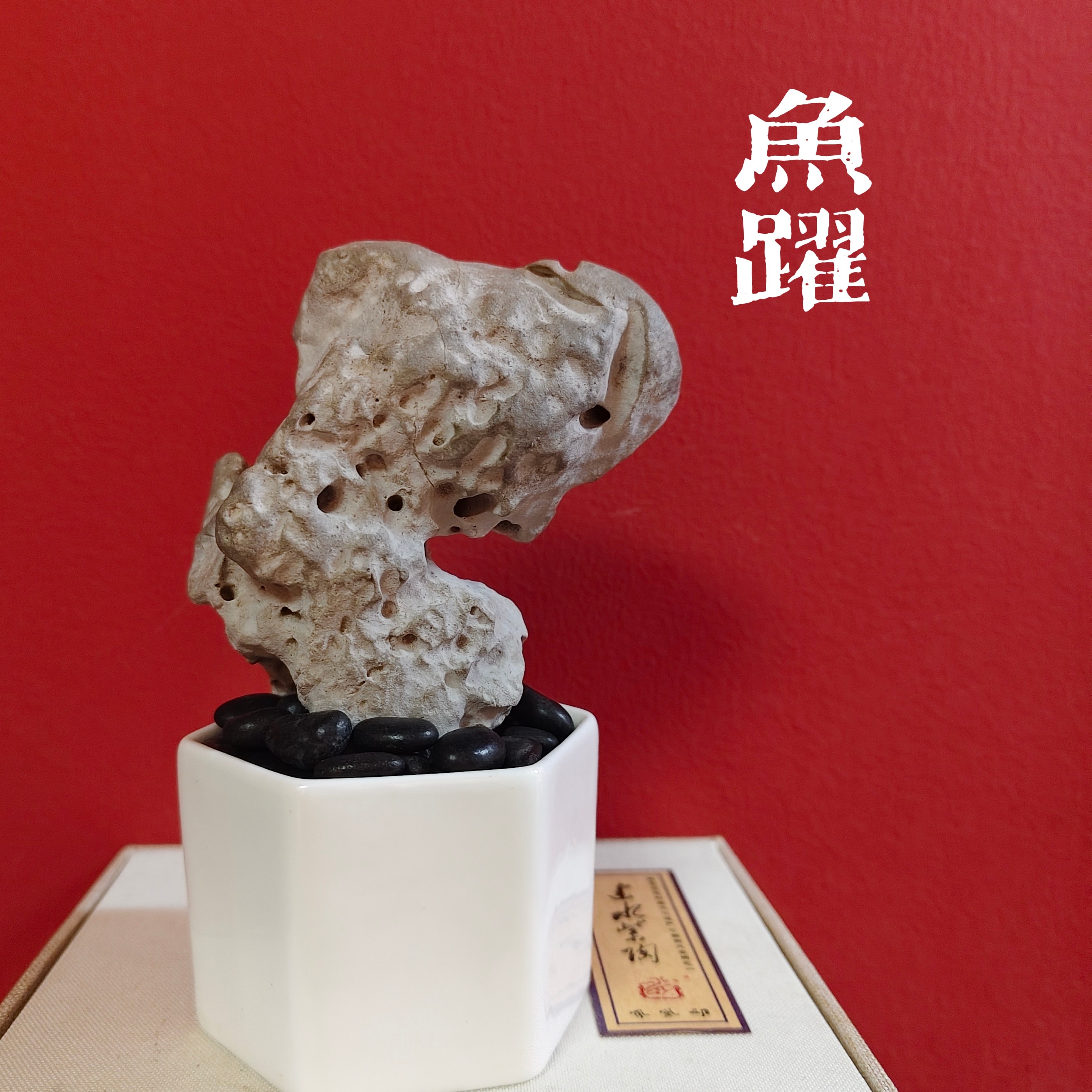 【鱼跃】太湖石自然原石增添家居雅致氛围