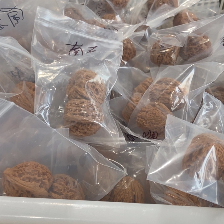 吊坠文玩核桃南疆瑕疵