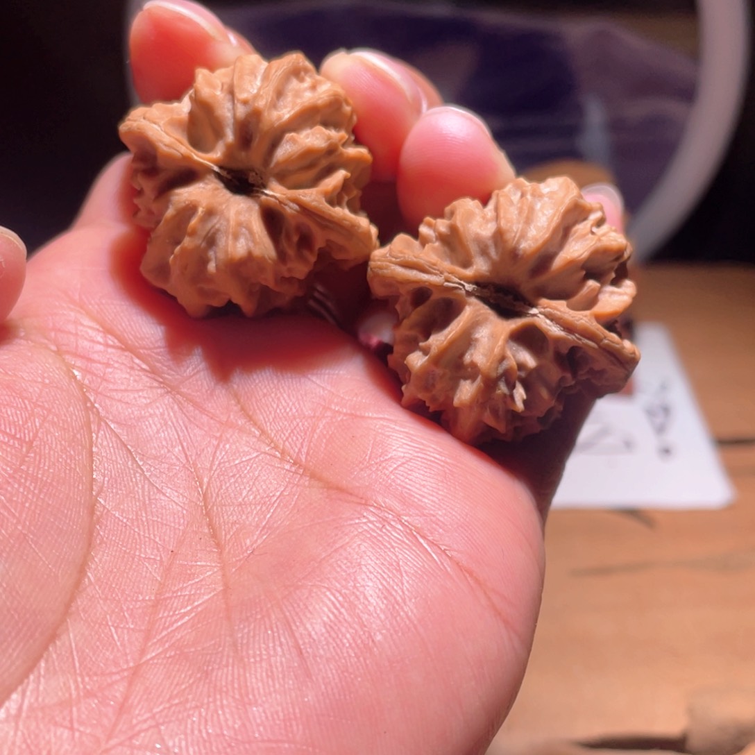 卷****卷S067 33尺 大龙
