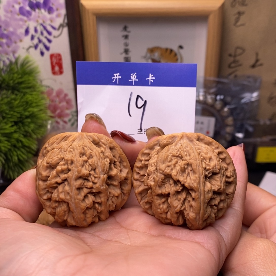 桃核吊坠大粗筋47有修s