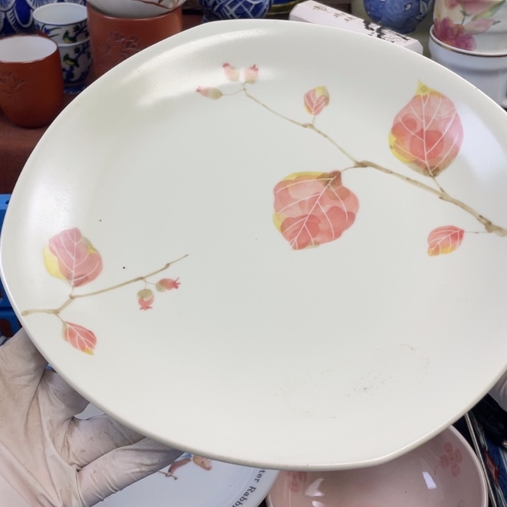 他家瓷器真美…开播了