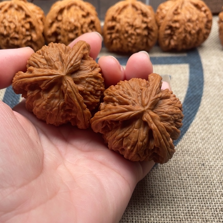 再***来石楠木白狮子43核桃