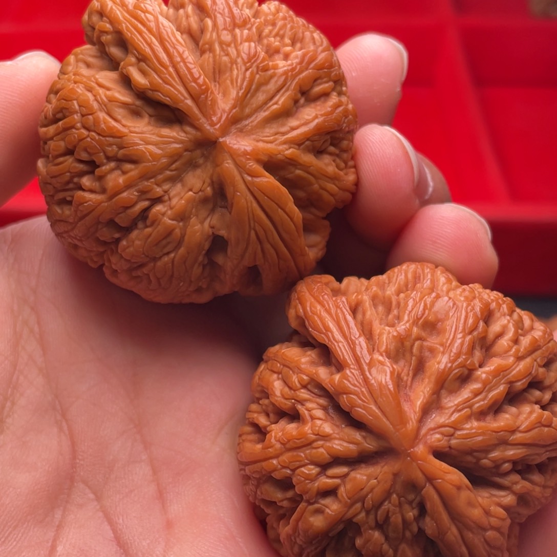 文玩核桃把件秦岭山脉核桃