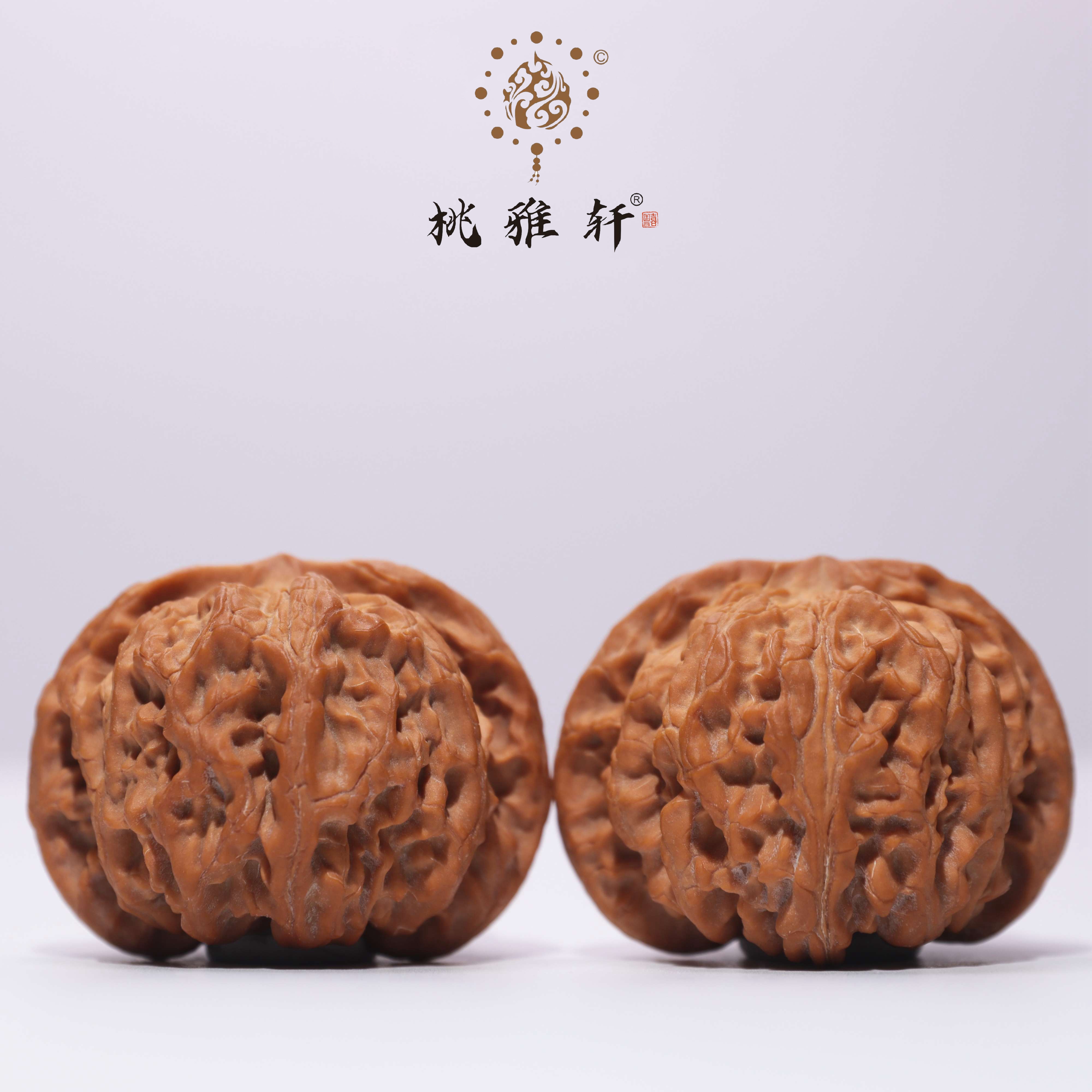 苹果圆 · 47-45-36  一物一图