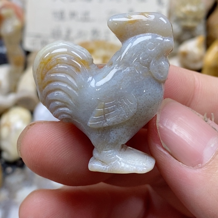 颈饰未镶嵌硅化珊瑚（珊瑚玉）