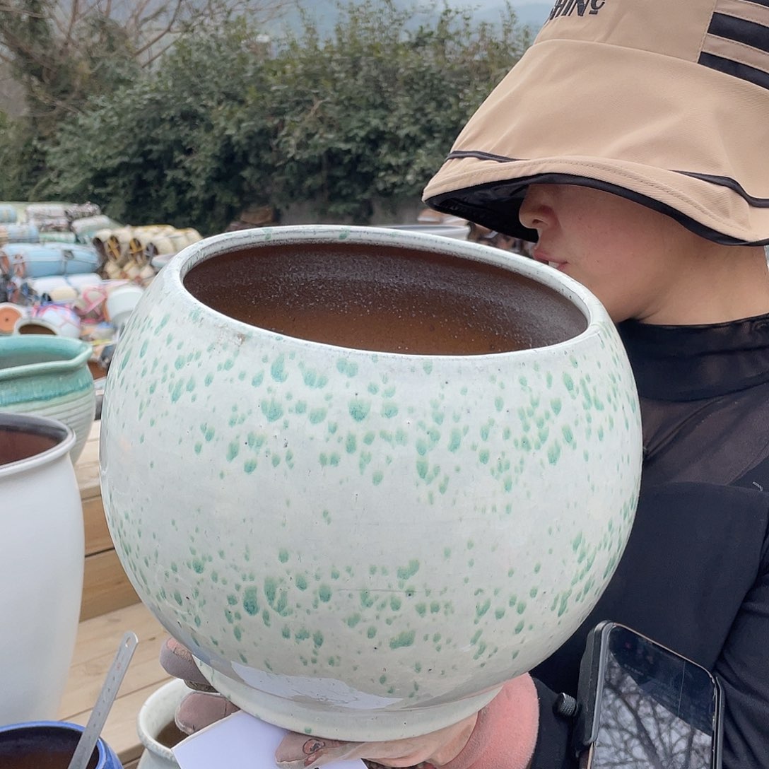 紫砂花盆王嫂花盆直播0310-997